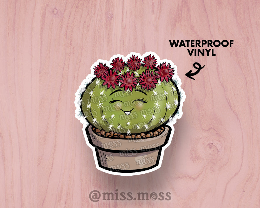 Barrel Cactus Large Vinyl Sticker