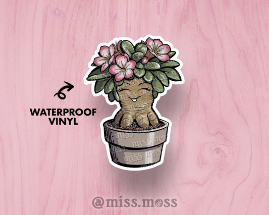 Desert Rose Plant Large Vinyl Sticker
