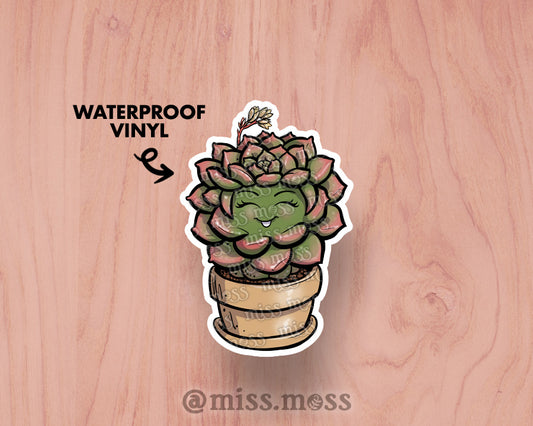 Echeveria Succulent  Large Vinyl Sticker